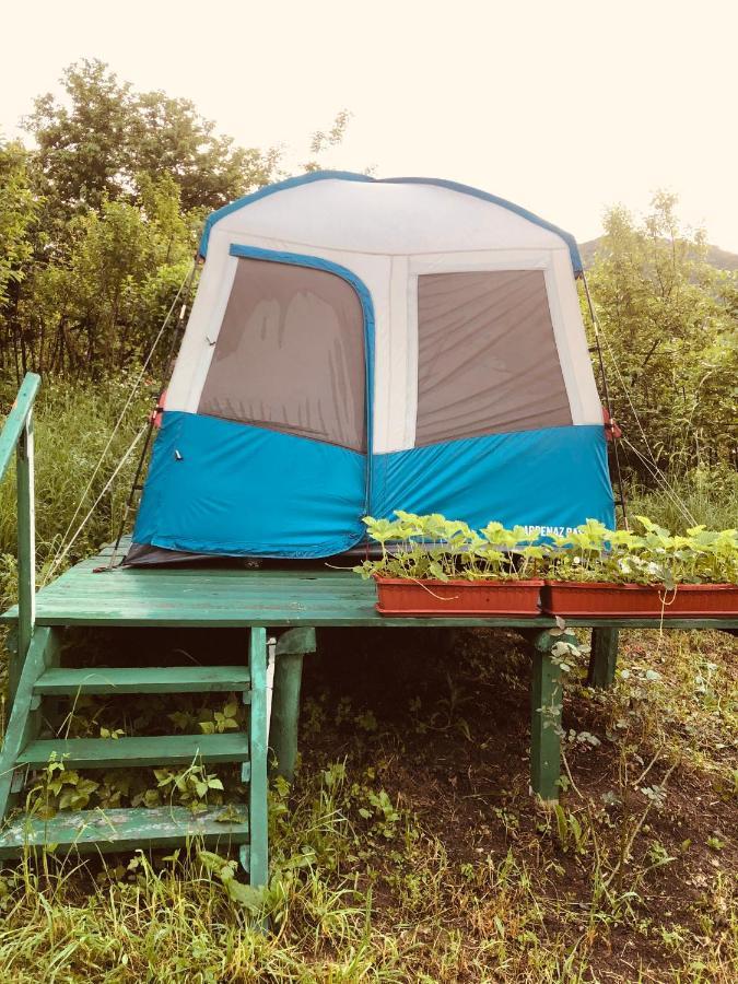 Tereza Glamping Ξενοδοχείο Sanain Εξωτερικό φωτογραφία