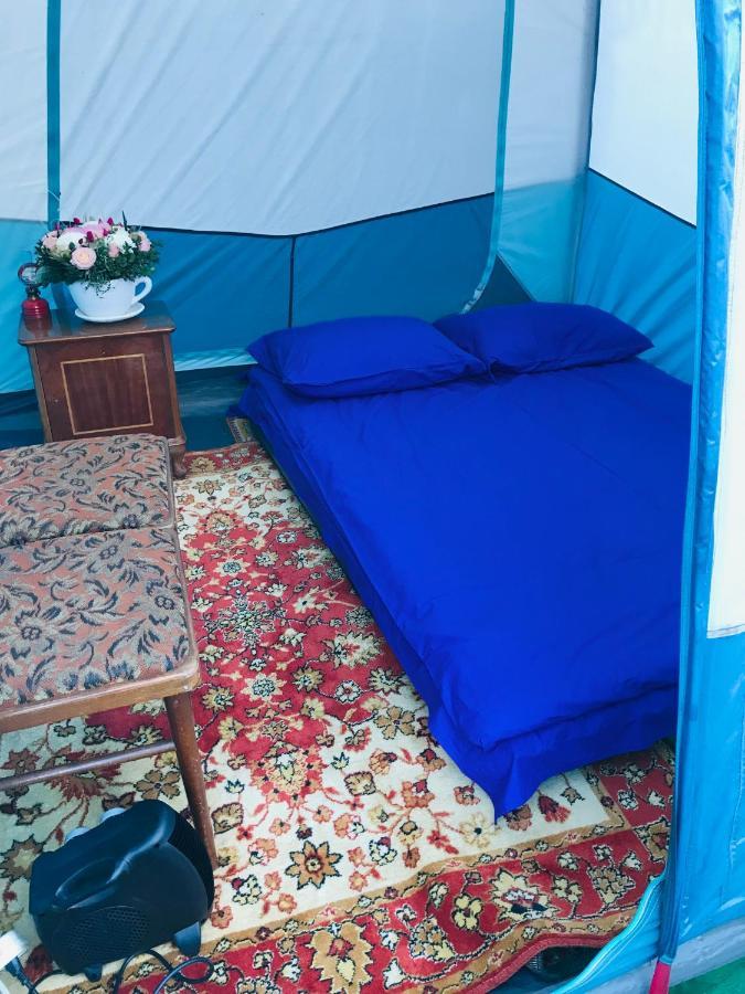 Tereza Glamping Ξενοδοχείο Sanain Εξωτερικό φωτογραφία