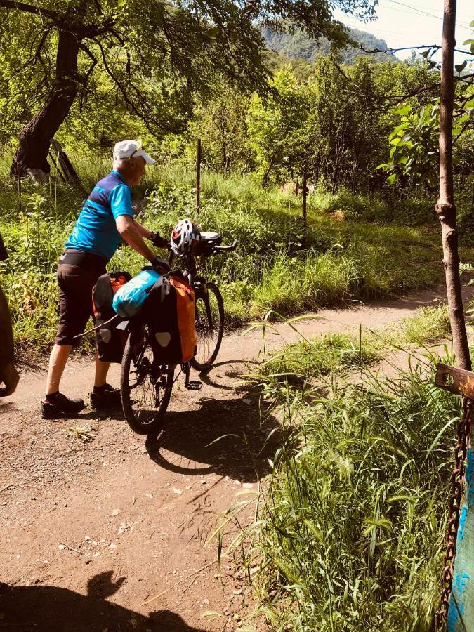 Tereza Glamping Ξενοδοχείο Sanain Εξωτερικό φωτογραφία