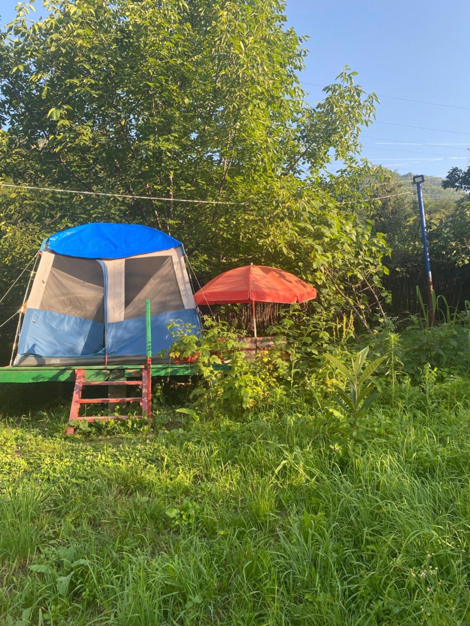 Tereza Glamping Ξενοδοχείο Sanain Εξωτερικό φωτογραφία