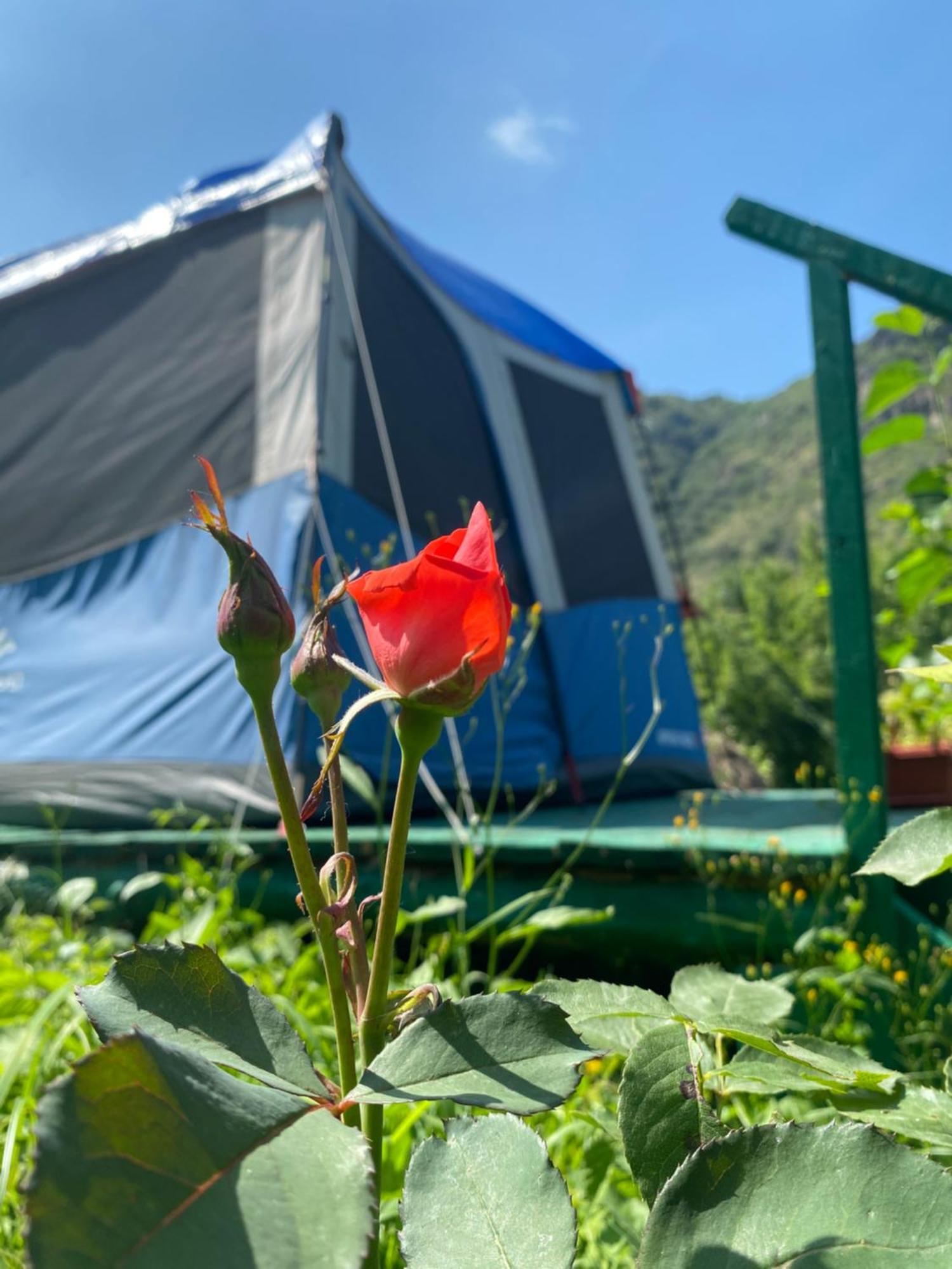 Tereza Glamping Ξενοδοχείο Sanain Εξωτερικό φωτογραφία