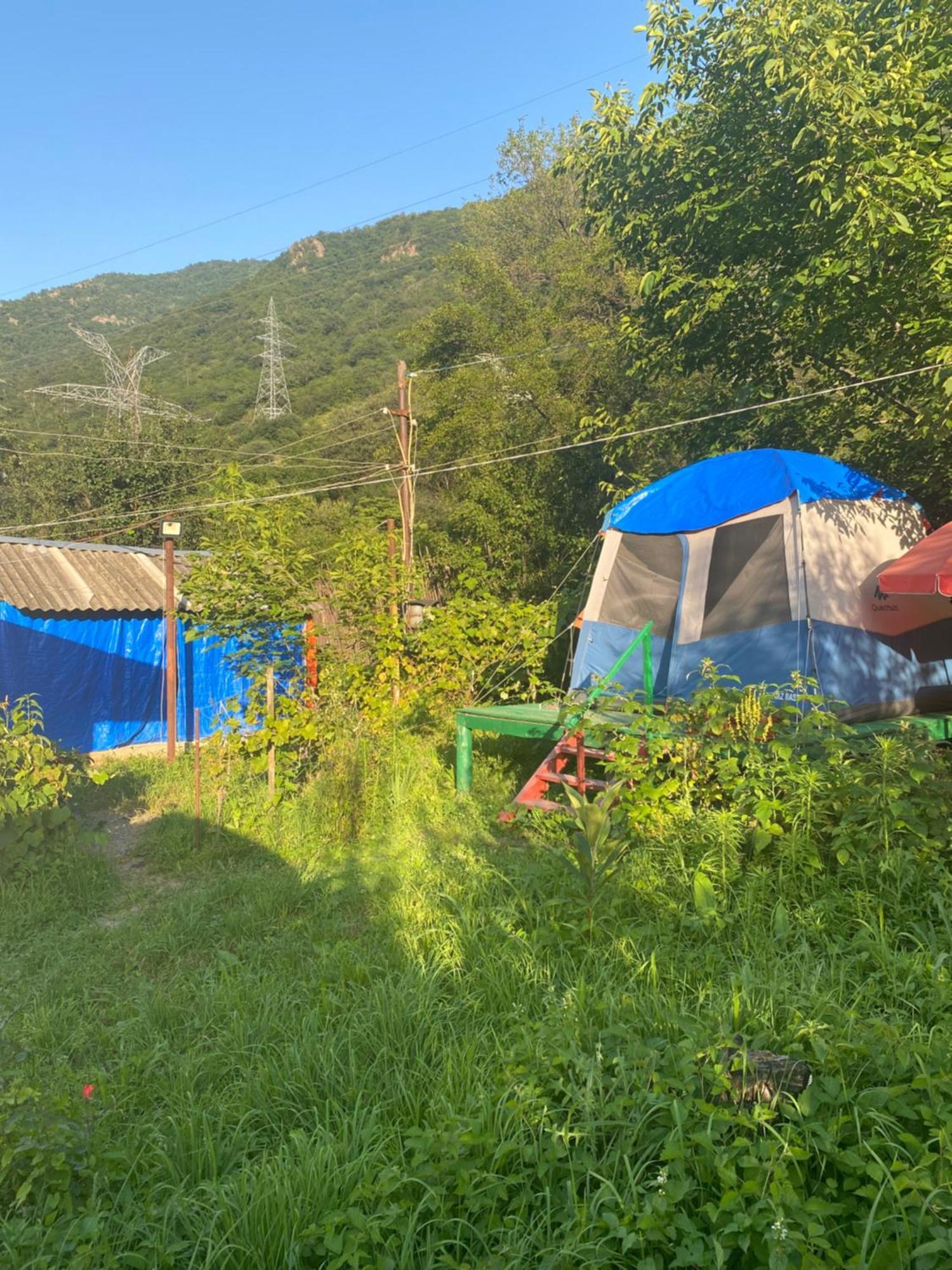 Tereza Glamping Ξενοδοχείο Sanain Εξωτερικό φωτογραφία