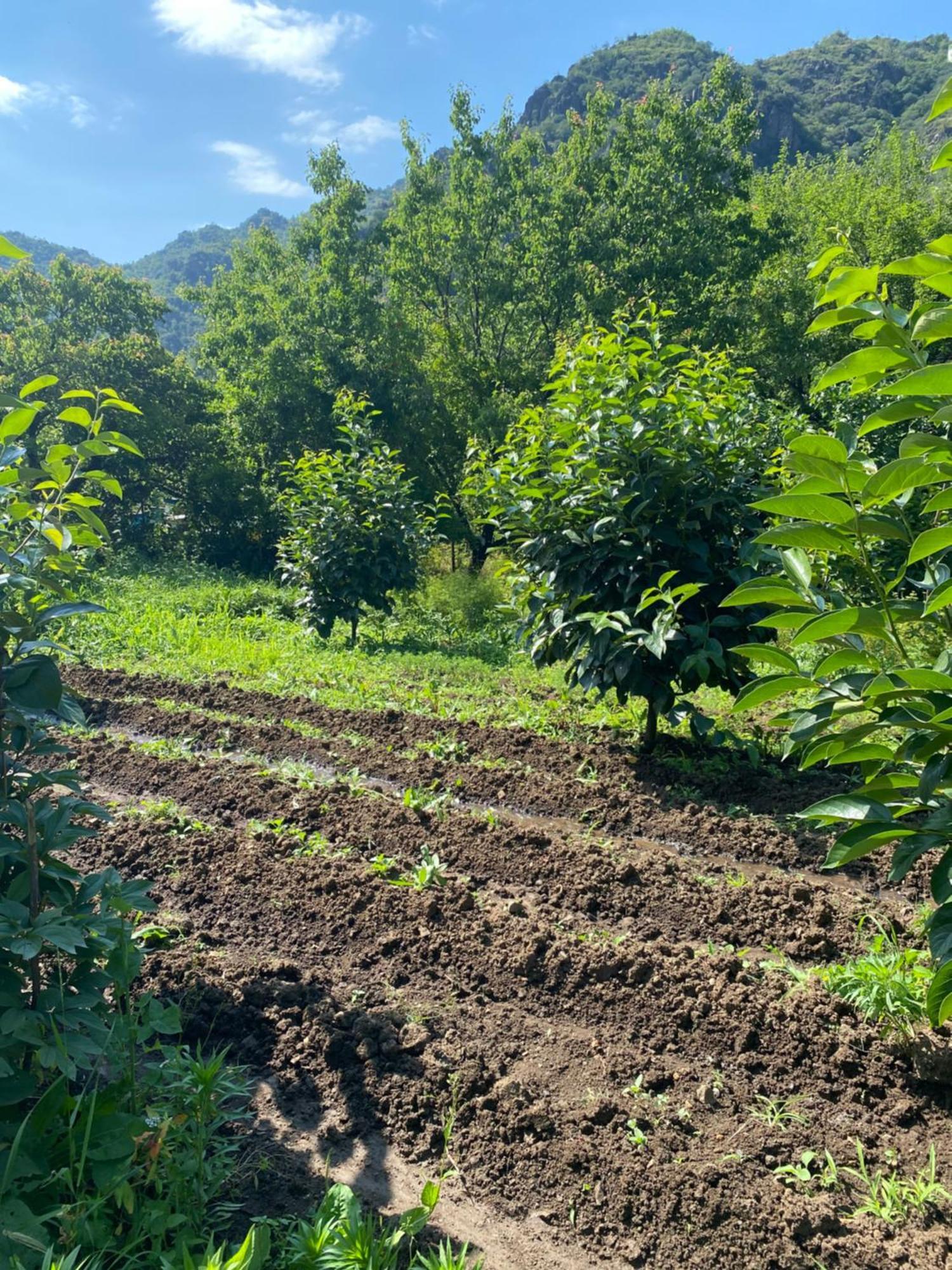 Tereza Glamping Ξενοδοχείο Sanain Εξωτερικό φωτογραφία